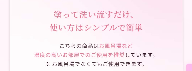 �f�����������o���Y�_�K�X�p�b�N�yR-FACE BFT�p�b�N�z���T�C�g